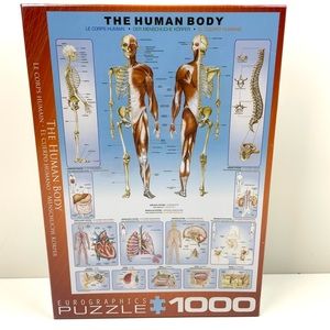 Eurographics The Human Body 1000-Piece Puzzle